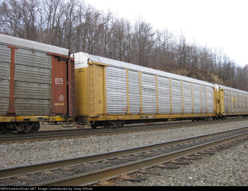 TTGX 980874
