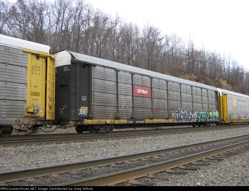 TTGX 971816