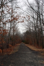 Abandoned Pennsylvania - Reading Seashore Lines Right of Way looking East