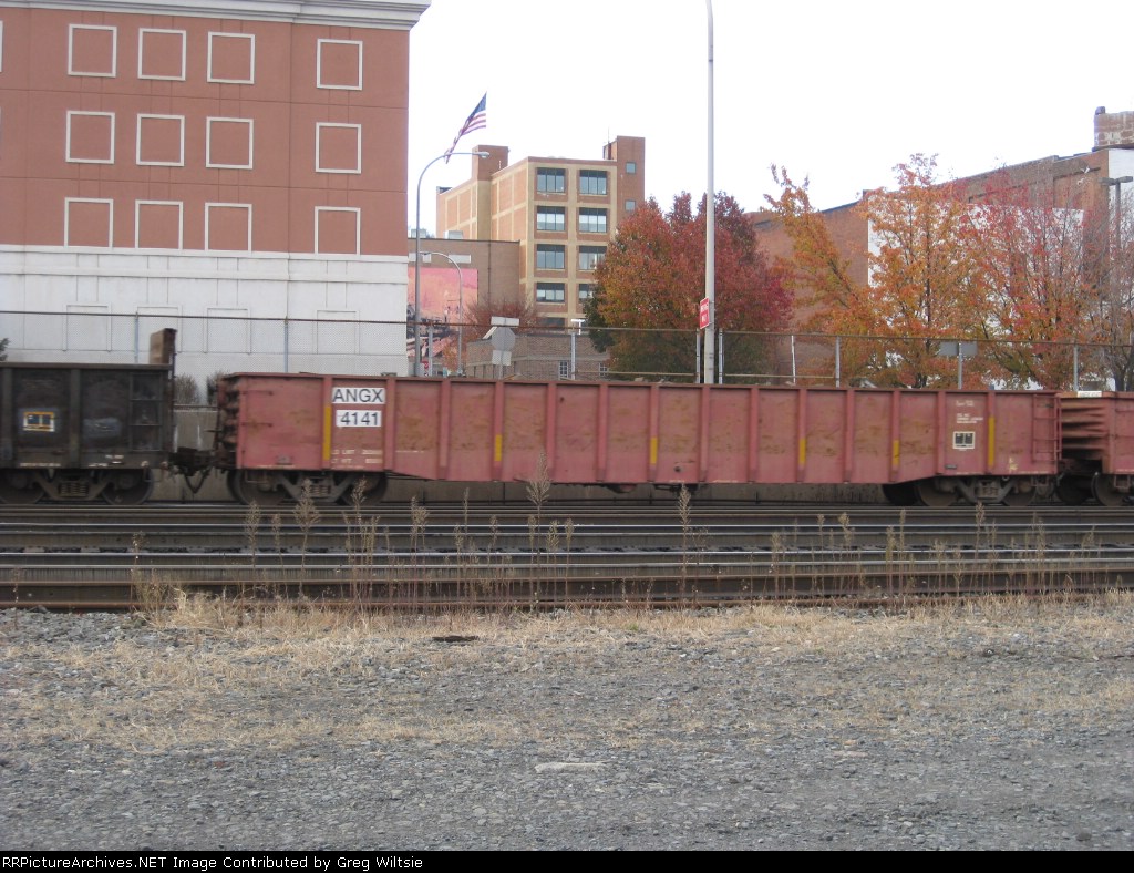 ANGX 4141