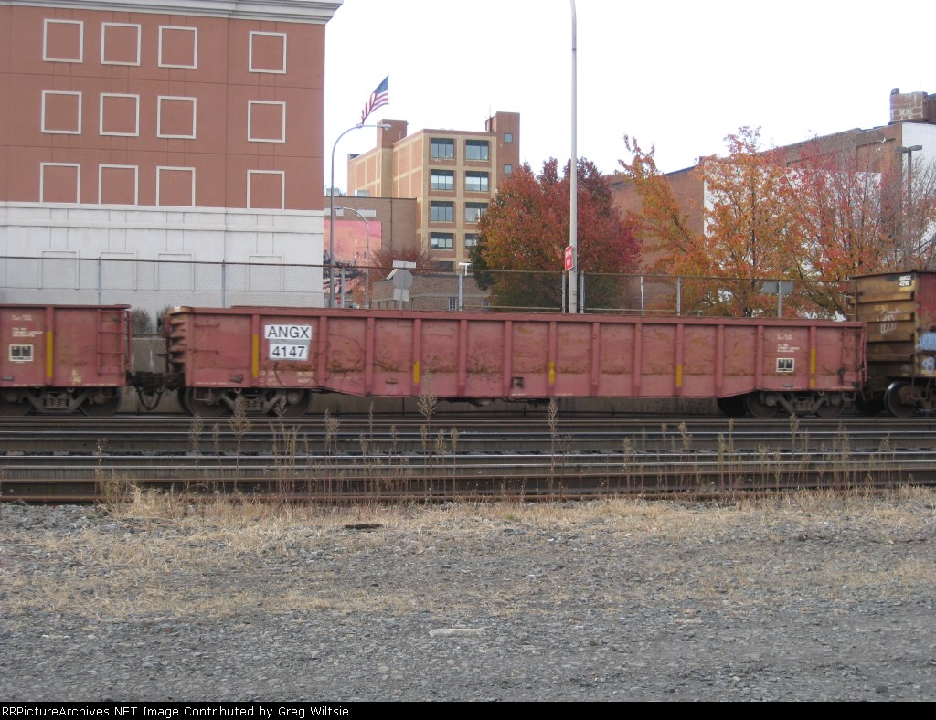 ANGX 4147