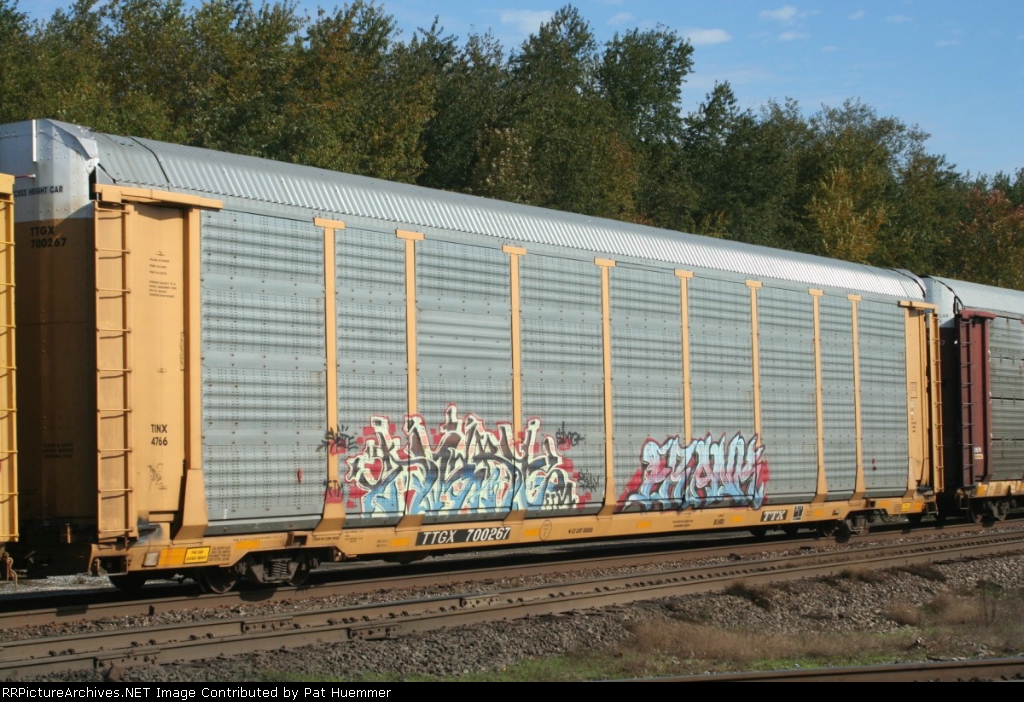 TTGX 700267