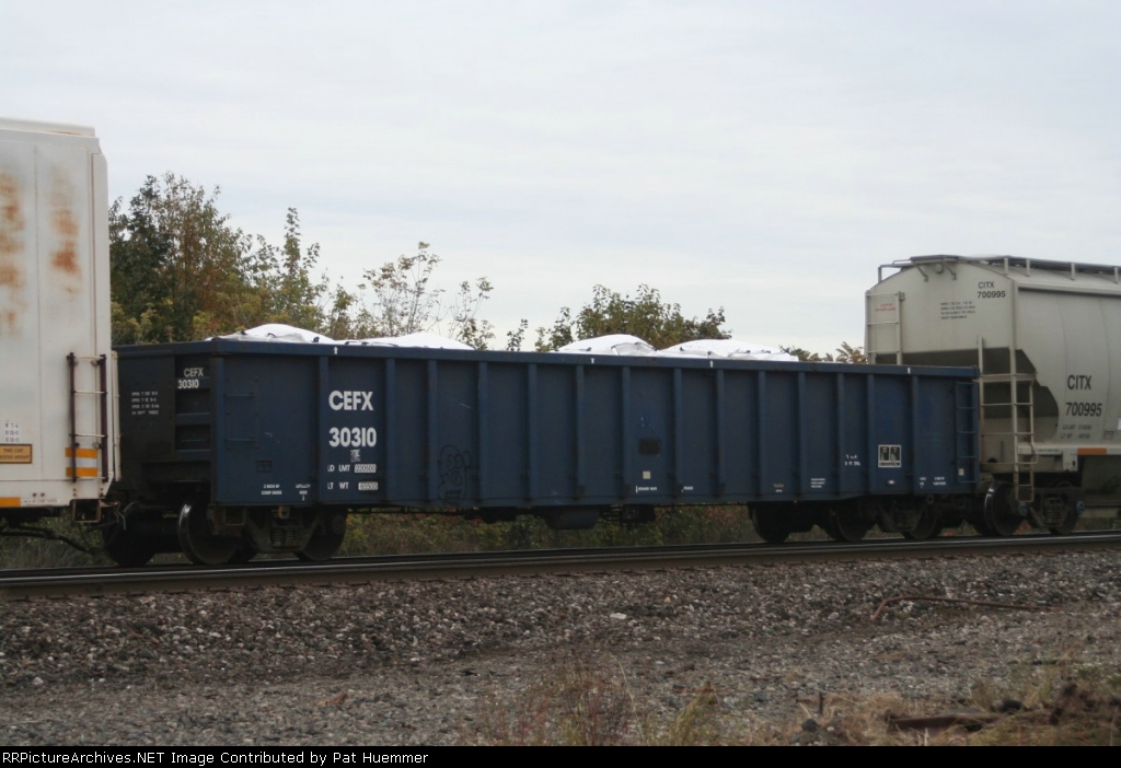 CEFX 30310