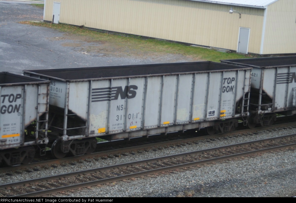 NS 31011