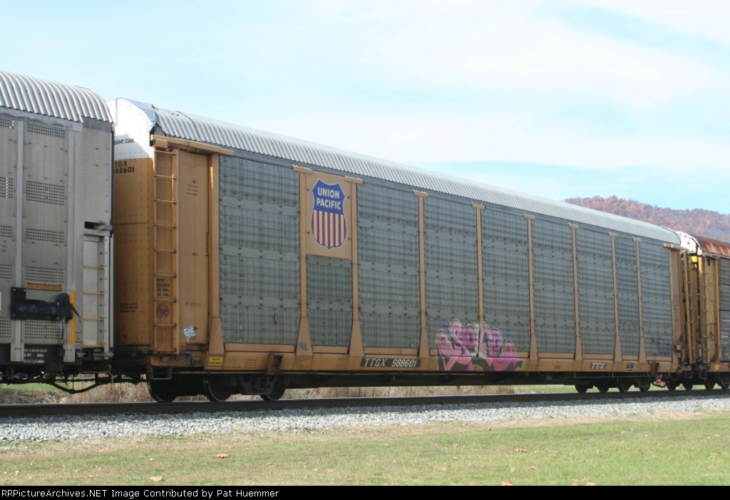 TTGX 988601