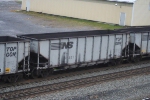 NS 31421
