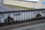 NS 42219