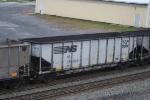 NS 29893