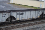 NS 41667