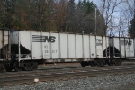 NS 36317