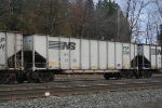NS 36181