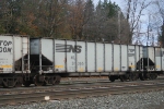 NS 31365