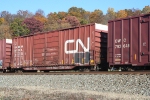 CN 558203