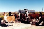 A Bolivian scene 