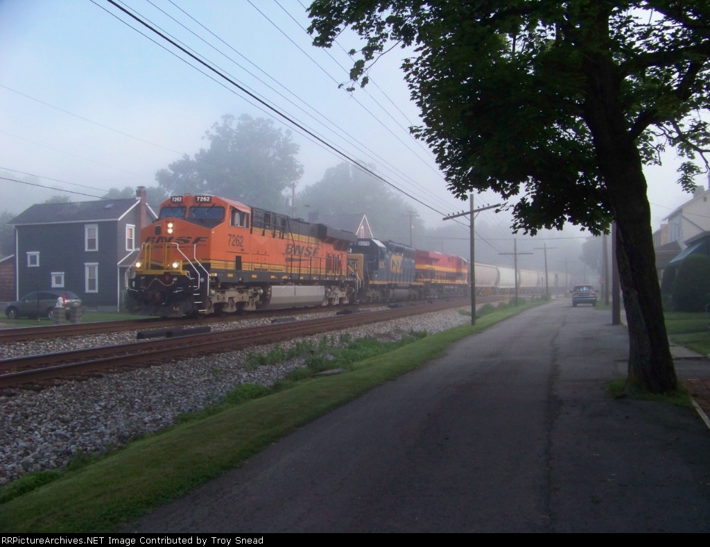 Great Colors coming out of the Fog