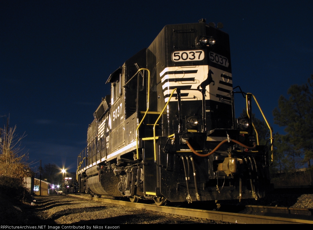 Highhead horsehead resting at Chamblee