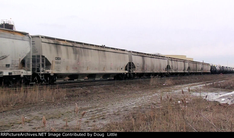 CRDX 15842