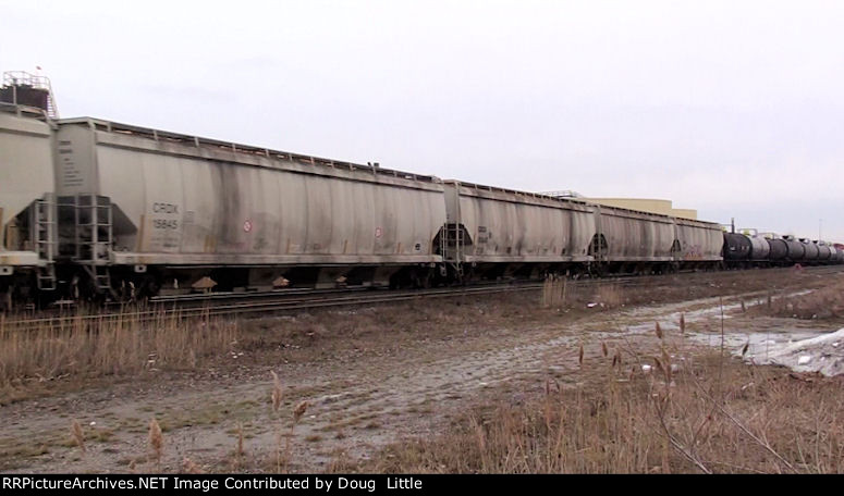 CRDX 15845