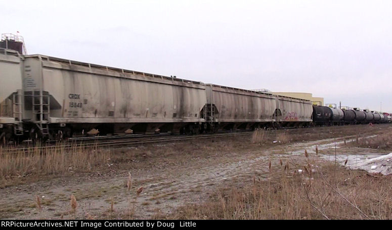 CRDX 15848