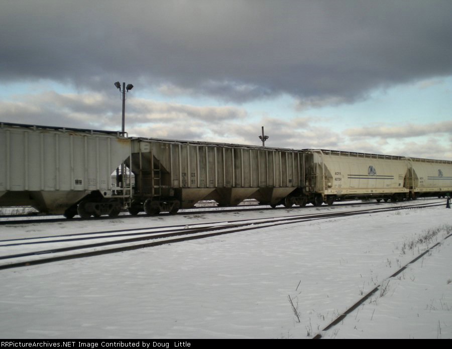 CRDX 8591