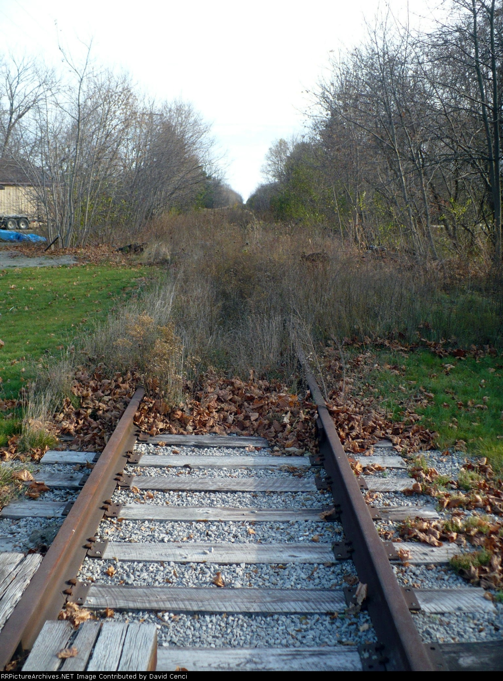 Weeds tell the story