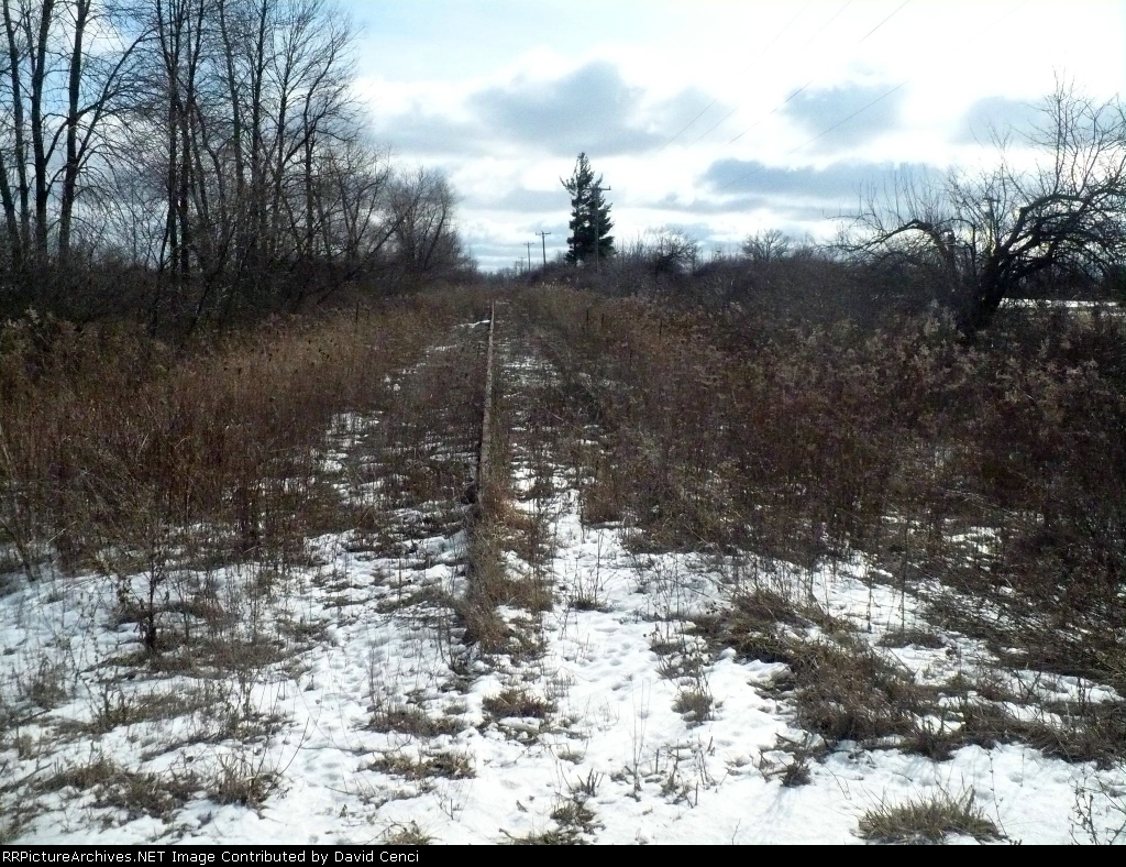 South from Fisher Rd