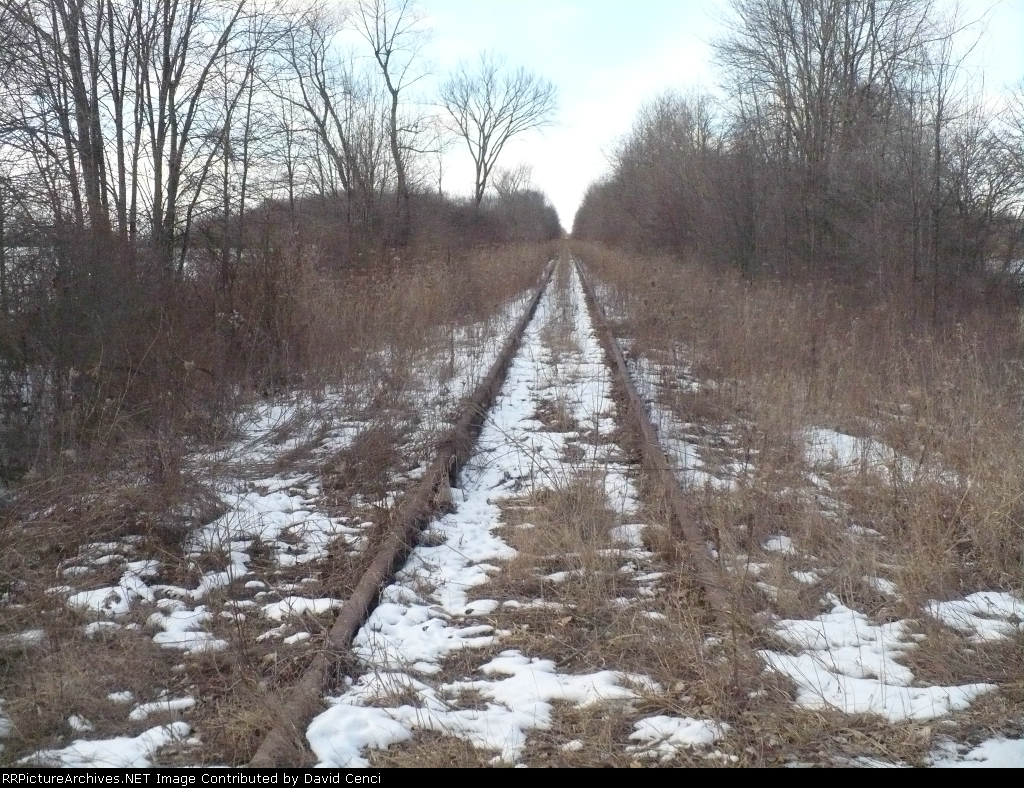 North from Fisher$Rd.