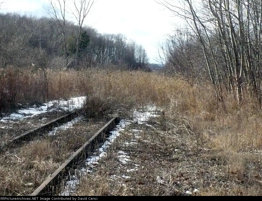 West from Garfield St.