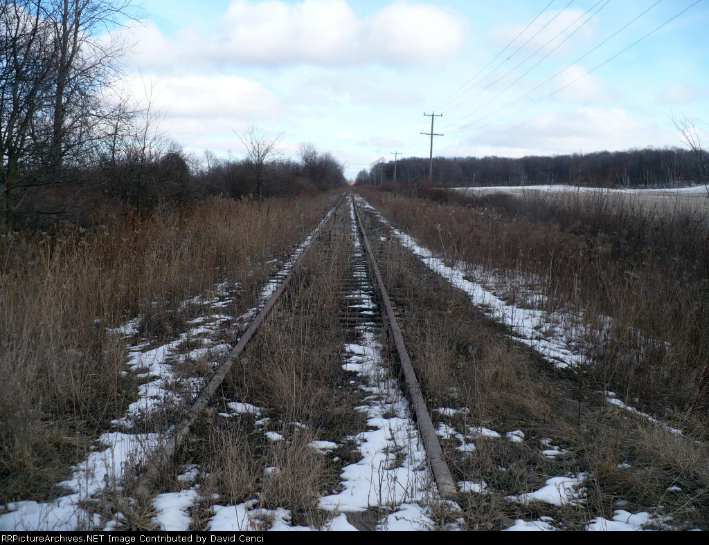 East from Mowerson Rd.