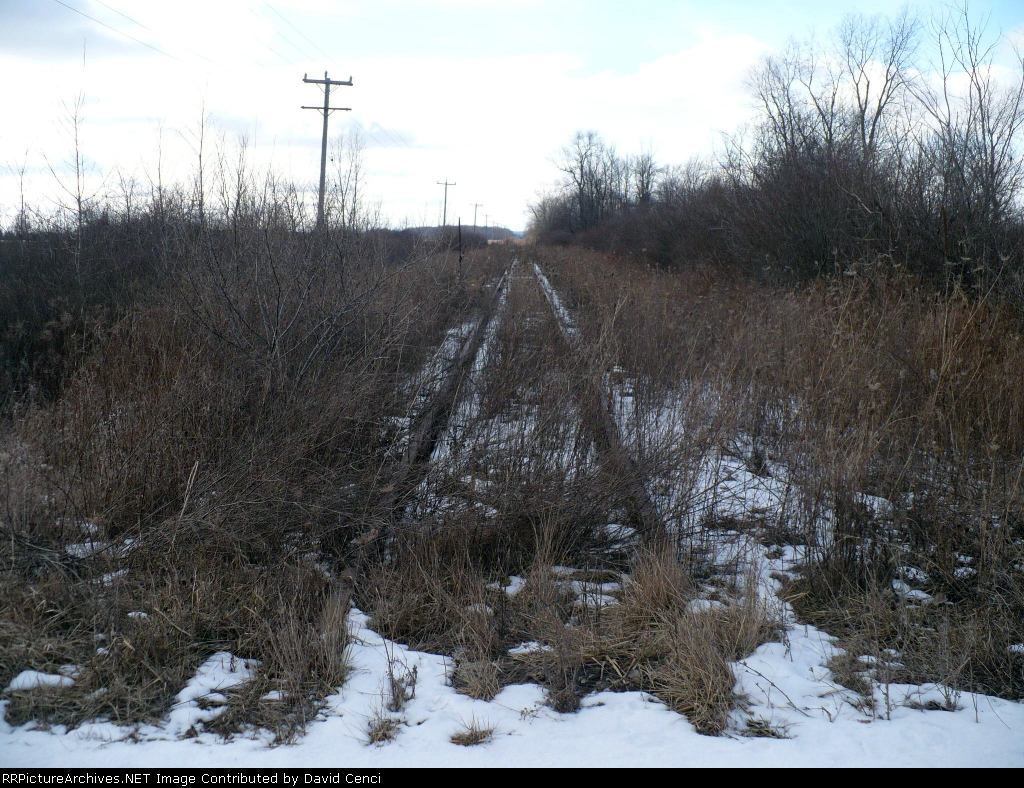 West at Mowerson Rd.