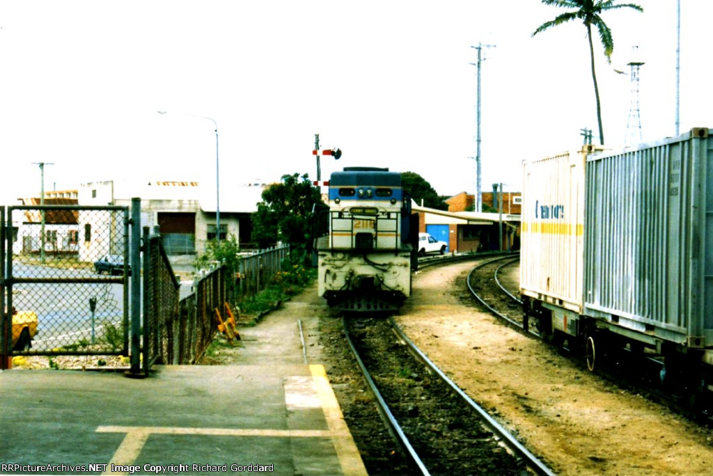 Light move in the yard