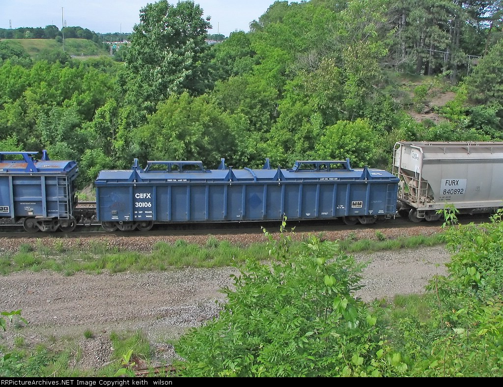 CEFX 30106