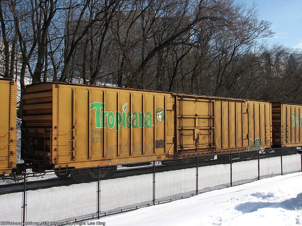 Tropicana Reefer on Q740-05