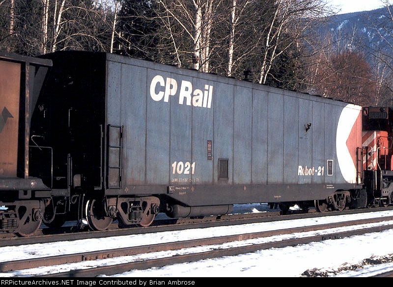 CP 1021