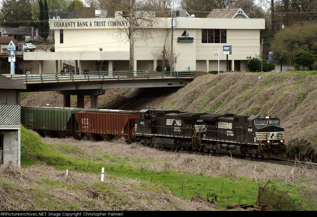 NS 9046 and NS 8411