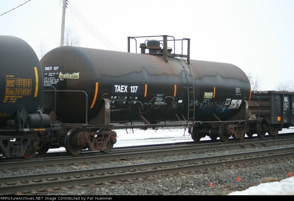 TAEX 137