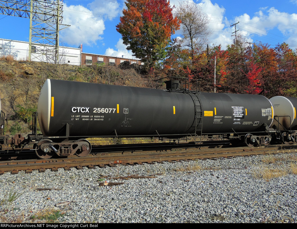 CTCX 256077