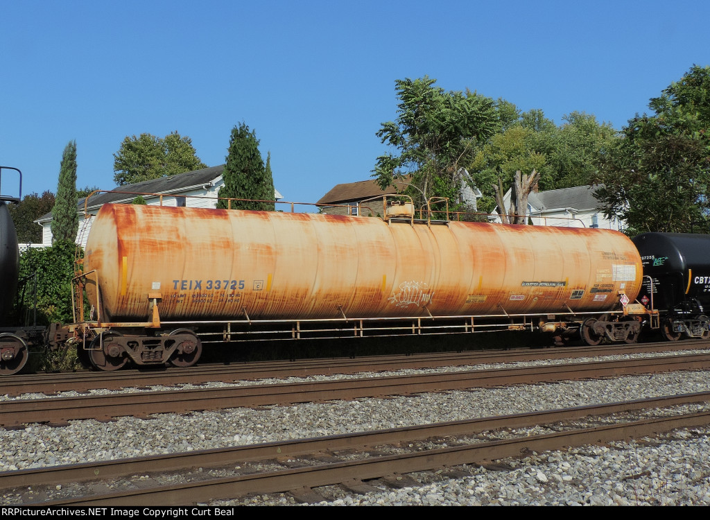 TEIX 33725