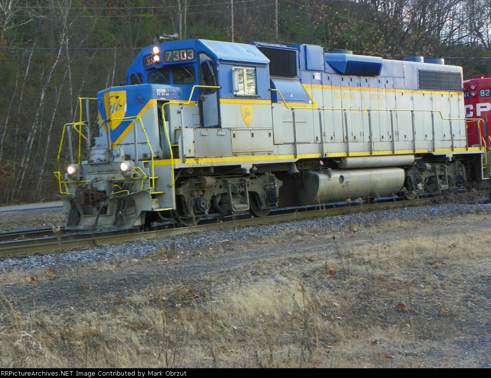 Delaware and Hudson 7303