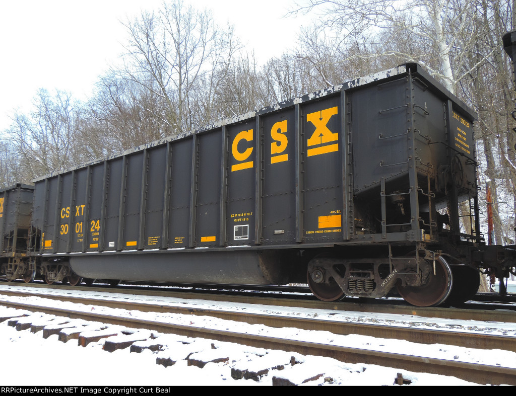 CSX 300124