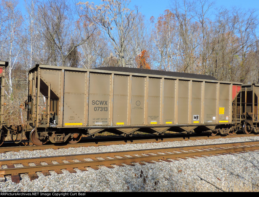 SCWX 07313