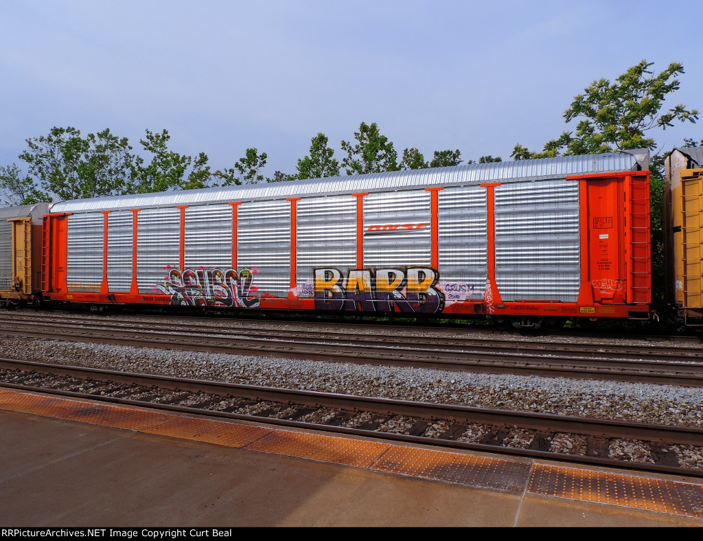 BNSF 300838 - 28938 (2)