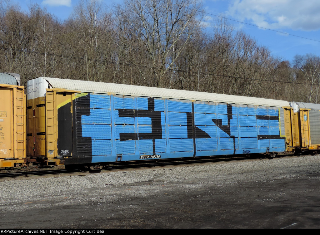 ETTX 710286