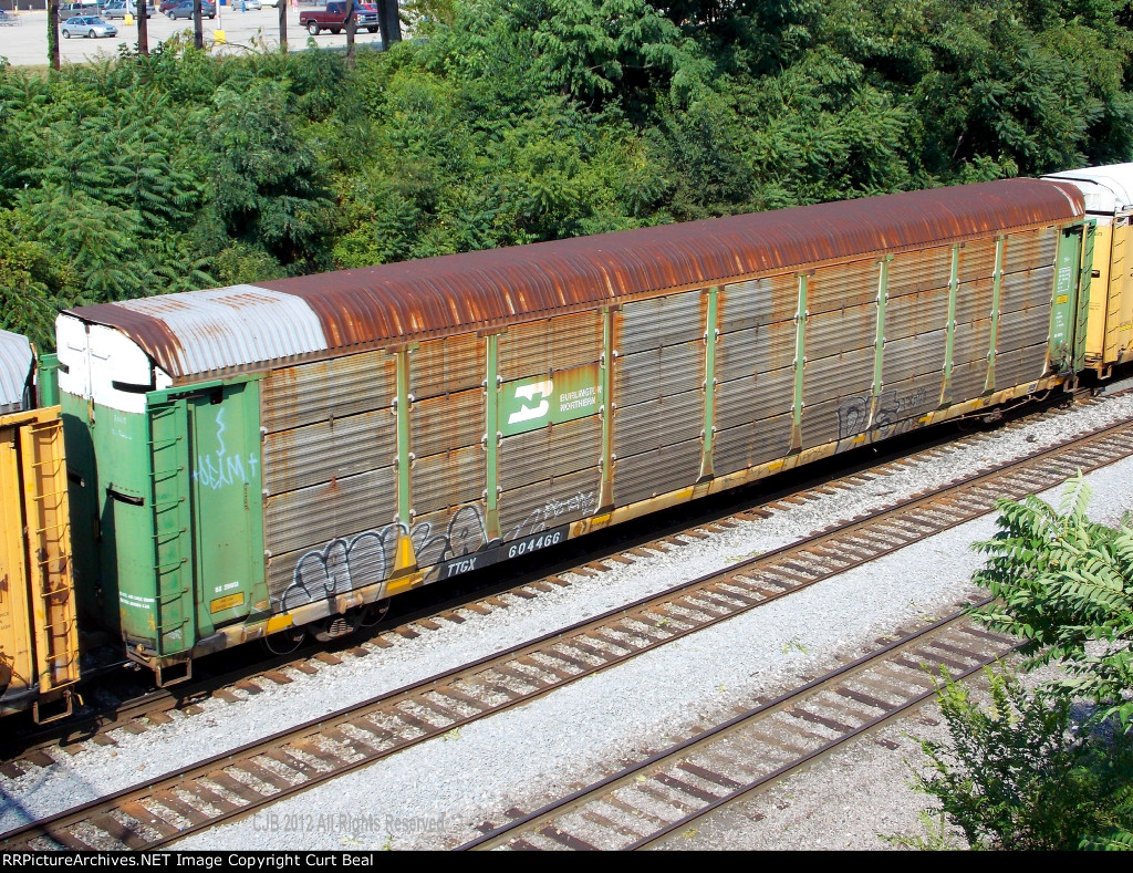 TTGX  604466 - BN 20051