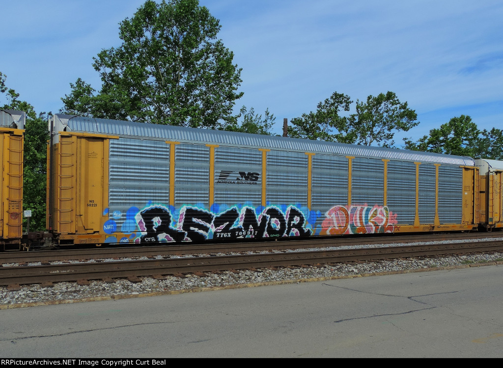 TTGX 706917 - NS 50221