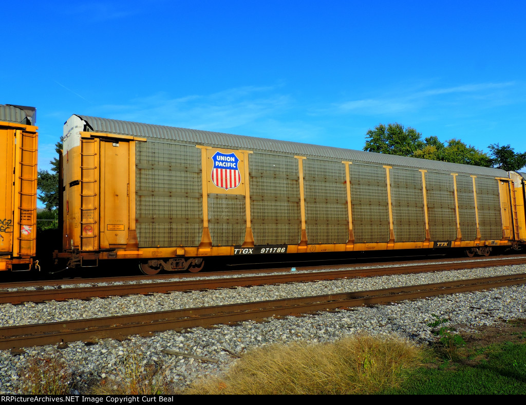 TTGX 971786