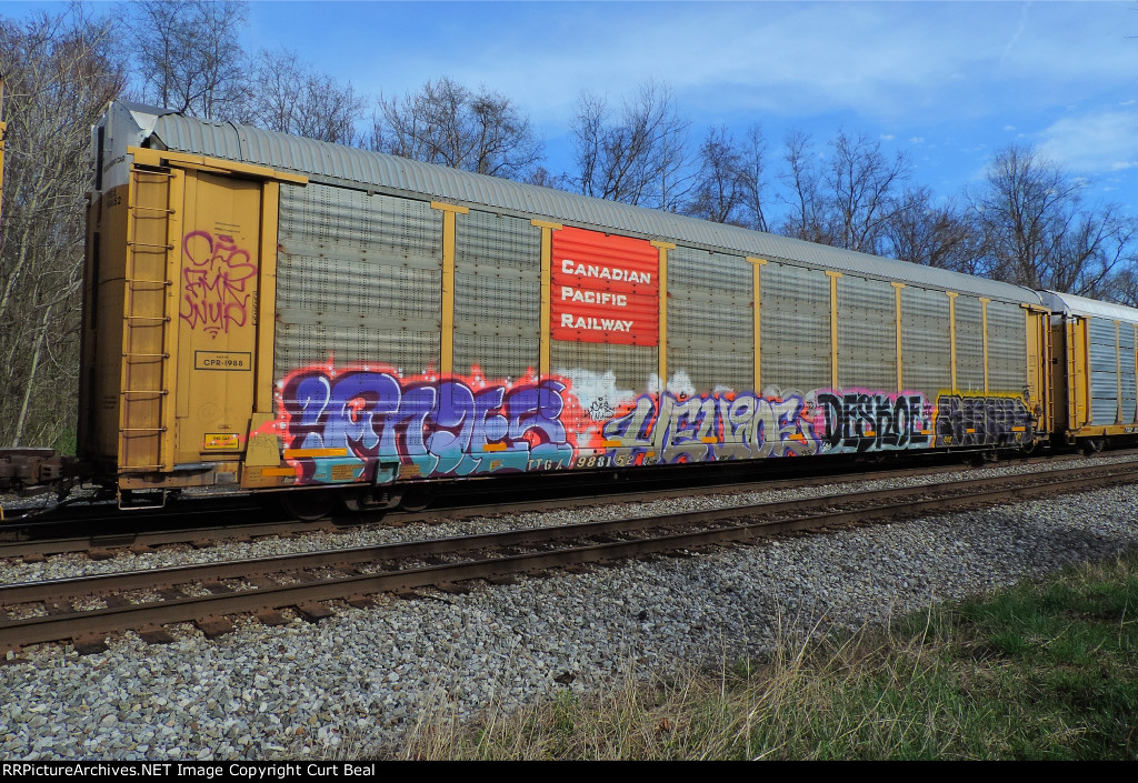 TTGX 988152 - CPR 1988