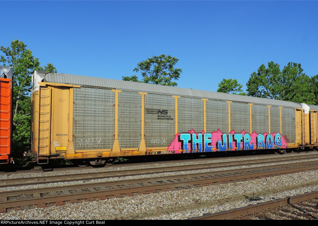 TTGX 996642 - NS 25159 