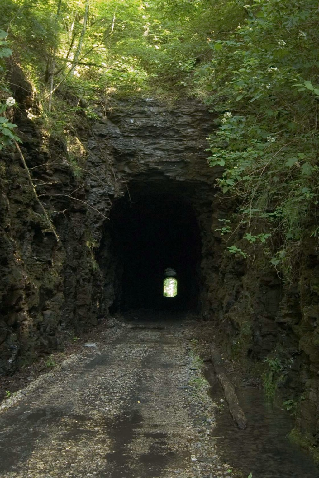 North End of Tunnel near 5 Mile Creek