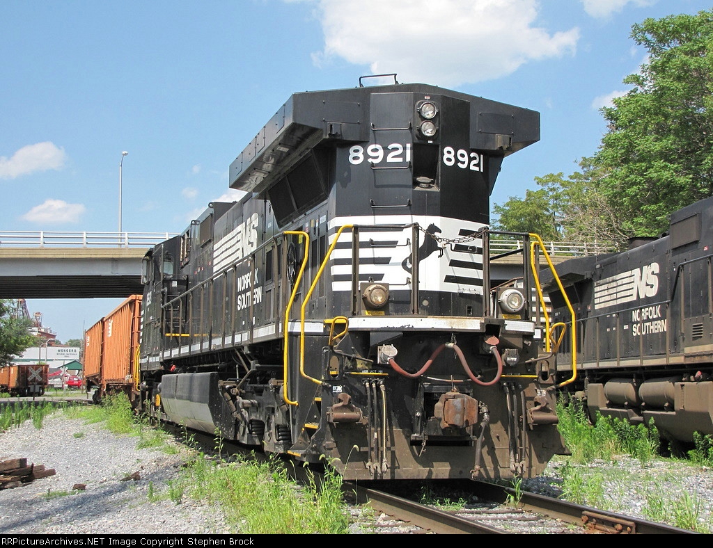 With NS Thoroughbreds, you never know which is the head or tail